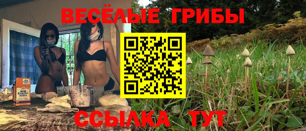 Галлюциногенные грибы прущие грибы  Галлюциногенные грибы MAGIC MUSHROOMS  Курск  Вход с VPN 